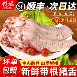 ��S���]���r��������i���^�i�ڗl�����ڗl�u�˼t���ʳ��