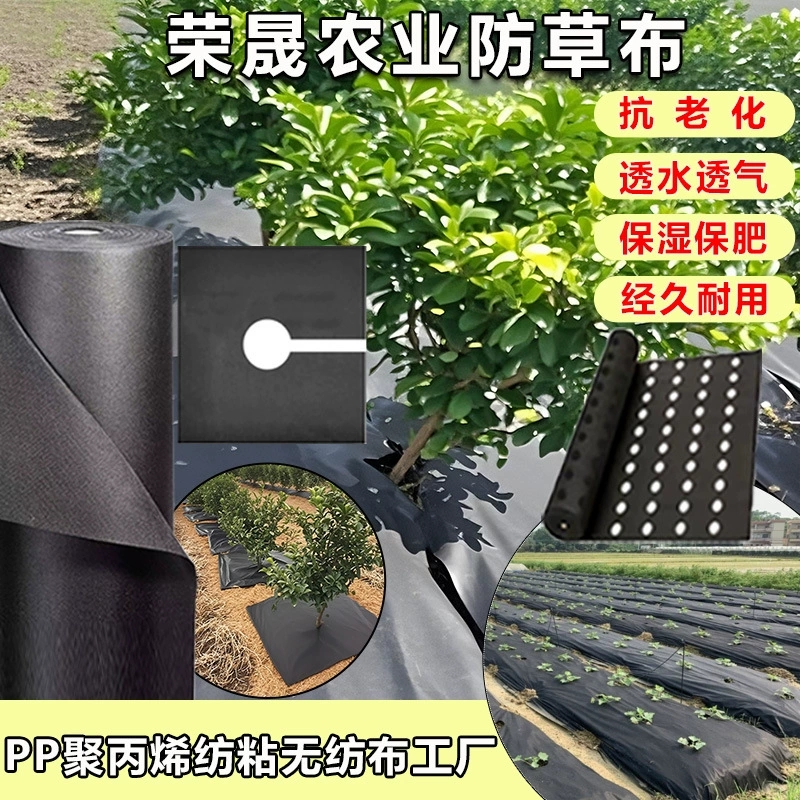 Водопроницаемый и воздухопроницаемый травяной материал прополки завод спот цитрусовые фрукты дракона чайный сад покрыт травяной пластиковой пленкой нетканый материал