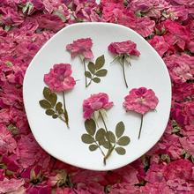 带枝玫瑰花干压花植物标本滴胶手机壳相框网红林小宅脸部贴花装饰