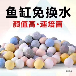 �~���п�ʯӢ����ɫ�Ƽ�С���^�V�������B����������������ˮ�|