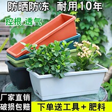 新款草莓盆阳台种菜盆种菜家庭阳台蔬菜长条花盆槽盆栽种植盆