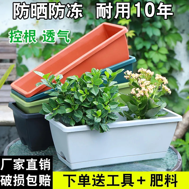 新款草莓盆阳台种菜盆种菜家庭阳台蔬菜长条花盆槽盆栽种植盆