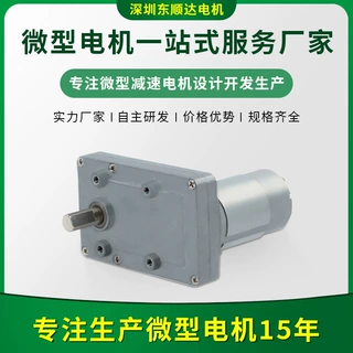 微型减速电机正齿直流有刷减速箱电机低噪音大力矩电动马达定制厂