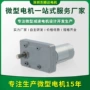 微型直流电动有刷电机