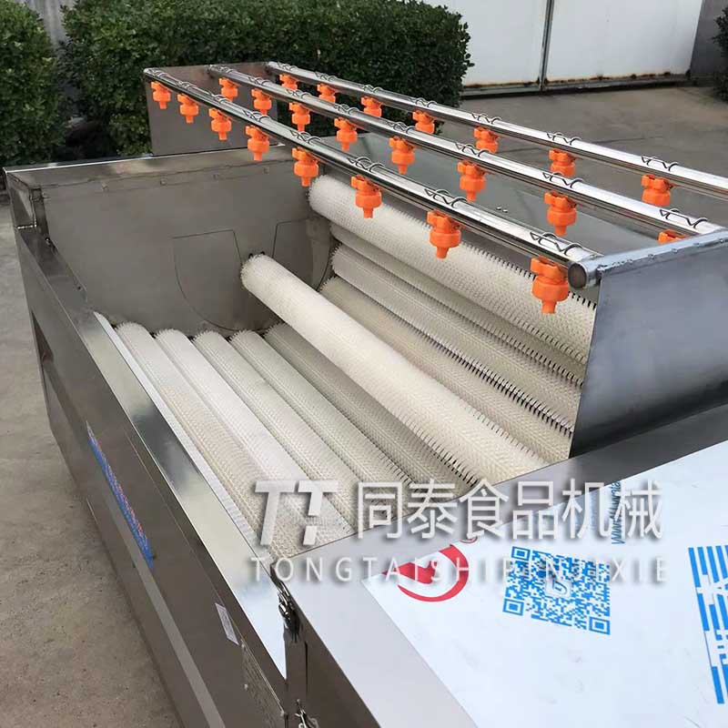 生产厂家直供花生洗果机、花生果清洗机、花生清洗机设备高效