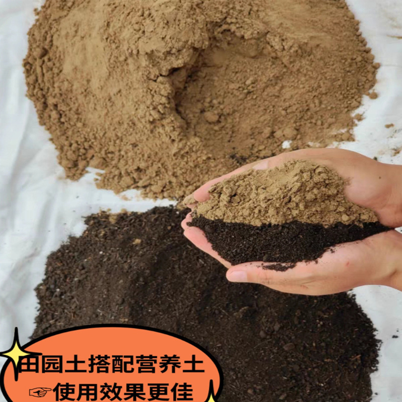 高品質の牧草地直販野菜栽培専用土壌、黄土、庭土、植栽土、花栽培用栄養土|undefined