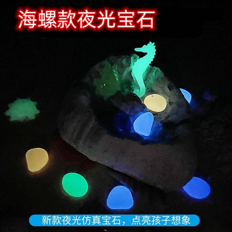 라이브 에디션 빛나는 보석 콘치