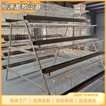 阶梯蛋鸡笼鸭笼鹅笼 A型笼 镀锌工艺养殖设备  可批发零售