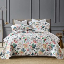 2025�¿�޴��w�μ��A�޽W�pȫ�����״��η����������ļ�ͨ��