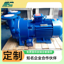 2BV5131水环真空泵 耐腐蚀型液环真空机 真空站厂家穗诚 现货