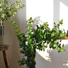 ����Gֲ���m�~�ٻ����滨�L֧�Z��ľ���~��ؔ[�O�͏d�b��R�~