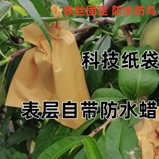 �����״��ɽˮ�����Ҙ���S�����Ӵ�����״����x��ˮ���B