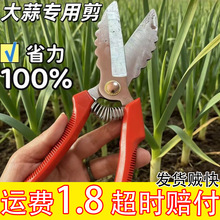 �¿���⌣�ü���ʡ����Ч�ɝ���U����횹��߼����^���[��������