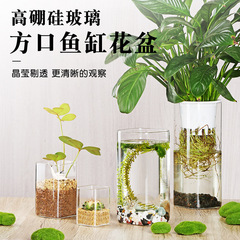 高ホウ素シリコン角筒ガラス花瓶緑羅小水槽挿花器水培景観植木鉢花瓶ガラス置物