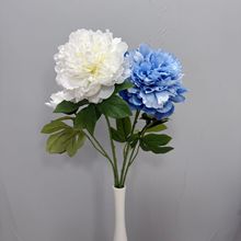 �����ĵ��2�^��c·���Y�ò廨�Ҿ߾Ƶ��b��滨�������üٻ�