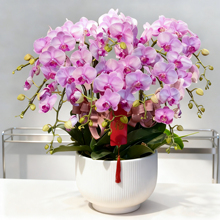 ?�����m���Ԏ����r�����fͬ���Ϻ������������_�I���w���܏V�ݺ�