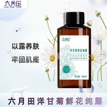 新疆厂家销售洋甘菊纯露250ML新款罗马洋甘菊纯露花水分销商供货