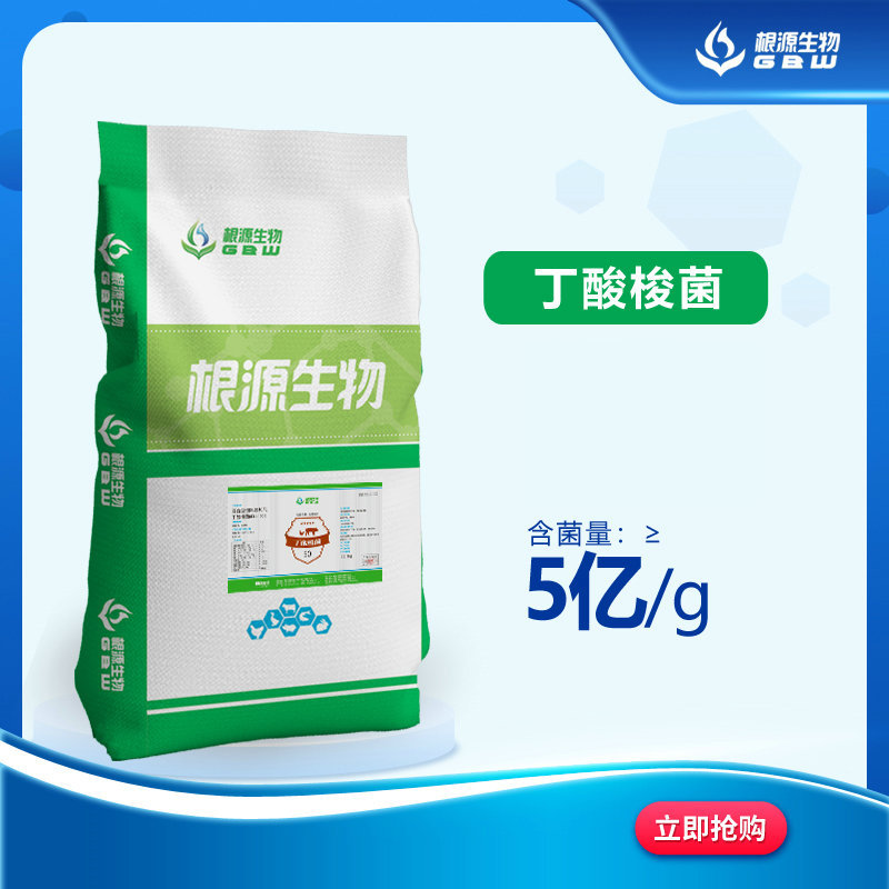 源头厂家   丁酸梭菌  动物益生菌