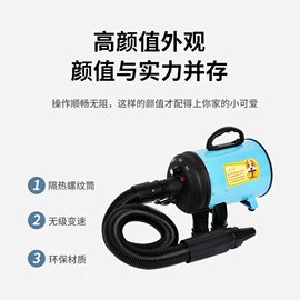 宠物吹水机;投射灯