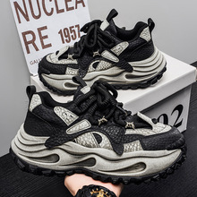 2026�����¿��\�����e������f�ϵ�Ь���L�͎�С�����Ь����Ь��