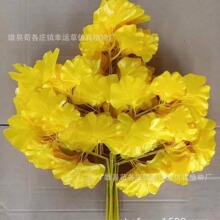 �����y���~ �y�Ә�֦ �۰��S�G��ɫ�٘��~����ֲ���c�b����w�~