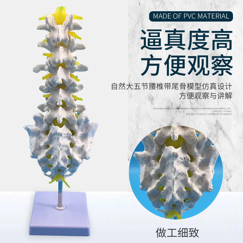 ��Ȼ�������׵��β׵ģ�� ������׵��β�Ǽ�׵����׵���� ��ʾ