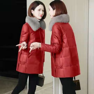 ����Ƥ��Ů�����¿�º���ë�IƤ�\��q�޷�Ů���L��Ƥ������