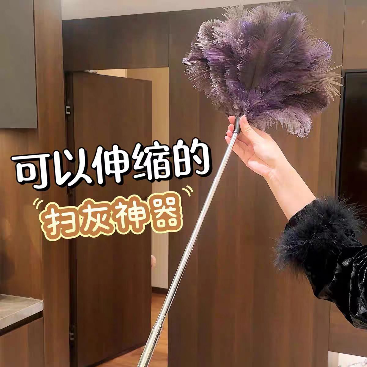 Long high quality handle for home use, duster