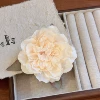 Pale pink and white duckbill clip