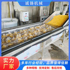 工厂用松茸蒸煮漂烫机菌菇类连续式漂烫设备大型果蔬杀青护色机