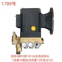 洗特4极P2款1812A全自动泵头（柱塞18轴径28流量13升压力16）