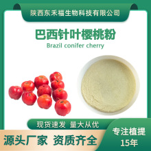 ������~���ҷ�vc17%��~������ȡ��Cherry powder���ҷ�1kg/��
