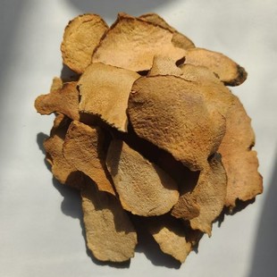 ���l��؛������������Ƭ�������߸�؛�����߷۷���������