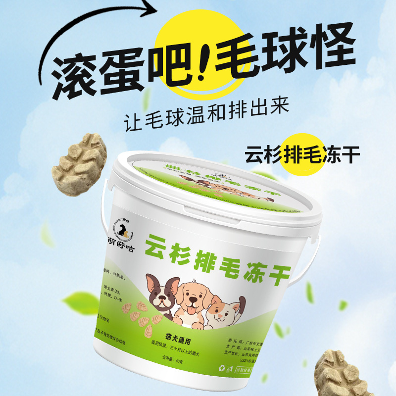 Abeto de abeto helado para gato helado