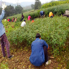 ����໨���� �Ĵ������� �F�ݻ����� ��ϻ����� �ؑc���������l