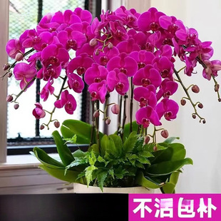 �����m���Ԏ������ﶬ�ͺ��r���ܾGֲ���҃��m������׻��ļ��_��