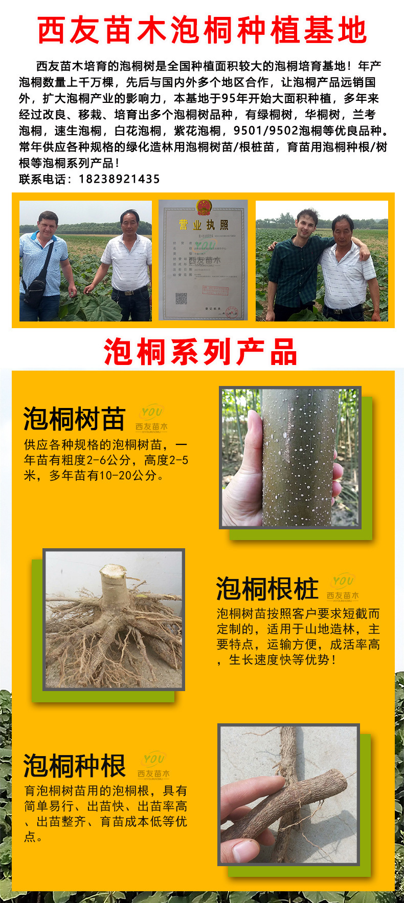 泡桐海报全带电话