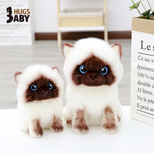 Super cute simulation kitten doll plush toy cute ragdoll Siamese cat doll small doll girl birthday gift