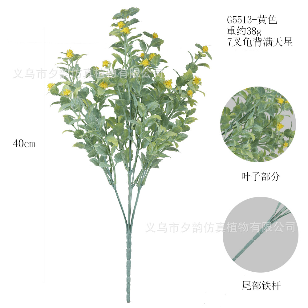 G5513-커스터드 7갈래 거북등 안개꽃