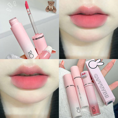 Cappuvini Macaron Energetic Powder Sensation Lip Mud, Matt Fog Lasting Lip Lacquer, Not Easy to Transfer, Velvet Lip Color