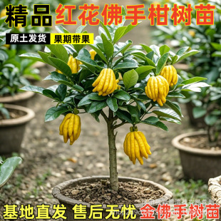 ���ָ̘������Ԏ����҃��̨ͥԺ�Ϙ����A�����r������B���ܾGֲ