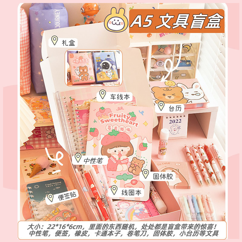 100.A5 문구 블라인드 박스 (24의 배수로 사진을 찍어주세요)