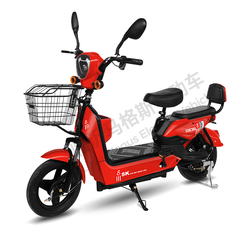 FL - 0002 - Golden Eagle nuevo fabricante de vehículos eléctricos al por mayor de dos ruedas coche de batería fábrica de bicicletas eléctricas E-bike