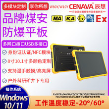 防爆认证指纹识别10寸8寸win11大内存工业三防平板电脑256GB储存