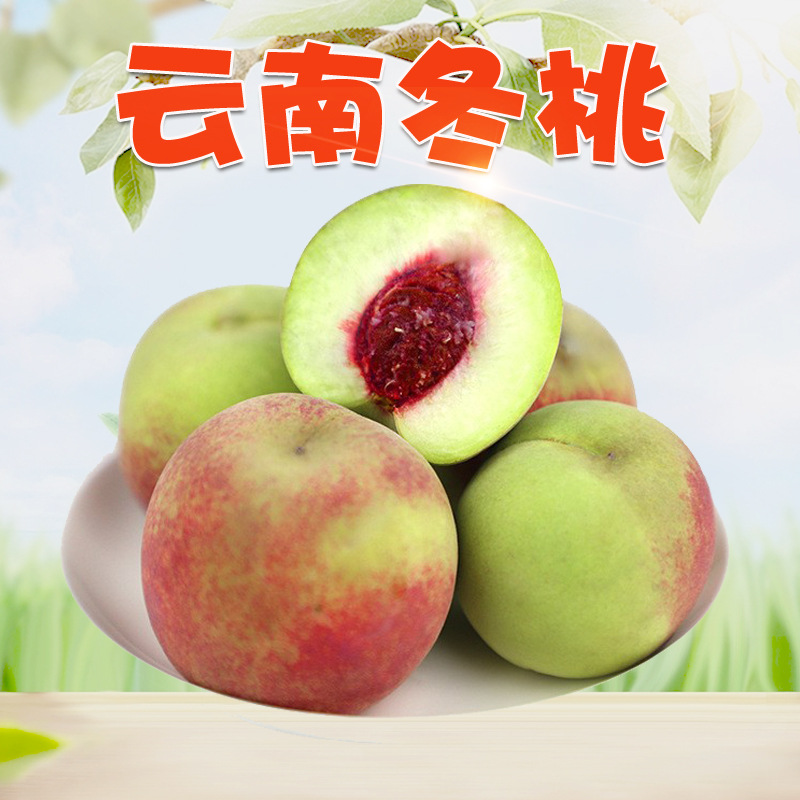 云南冬桃 代发1/8斤特大果应季毛桃子脆甜多汁新鲜青毛桃新鲜水果