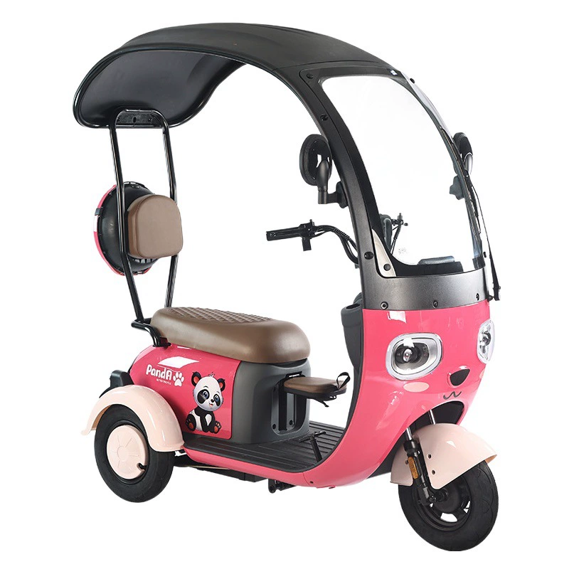 Новый бренд Электрический трехколесный велосипед Мода Отдых ходьба Аккумуляторный автомобиль высокой мощности Электрический трехколесный велосипед с навесом