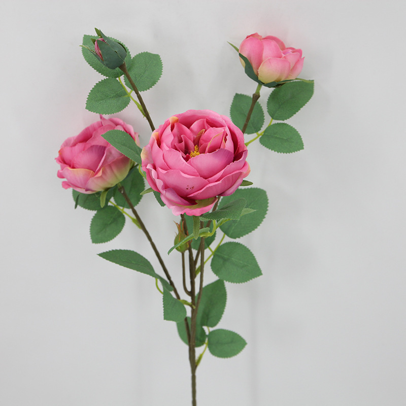 Simulated Austin Rose Single Multi-Headed Rose Wedding Artificial Flower Home Silk Flower Fake Flower Wholesale