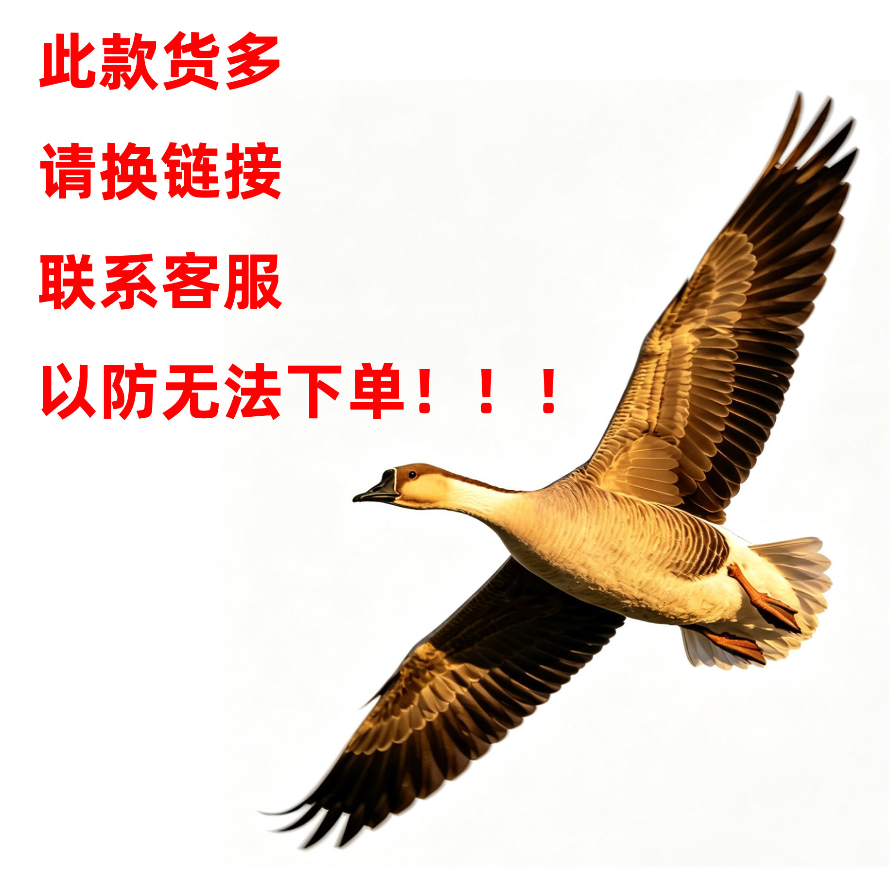 2025 봄과 여름 여성 신발 새로운 스타일 플랫폼 두꺼운 바닥 쐐기 캐주얼 인테리어 높이 8cm 캐주얼 작은 토레 신발