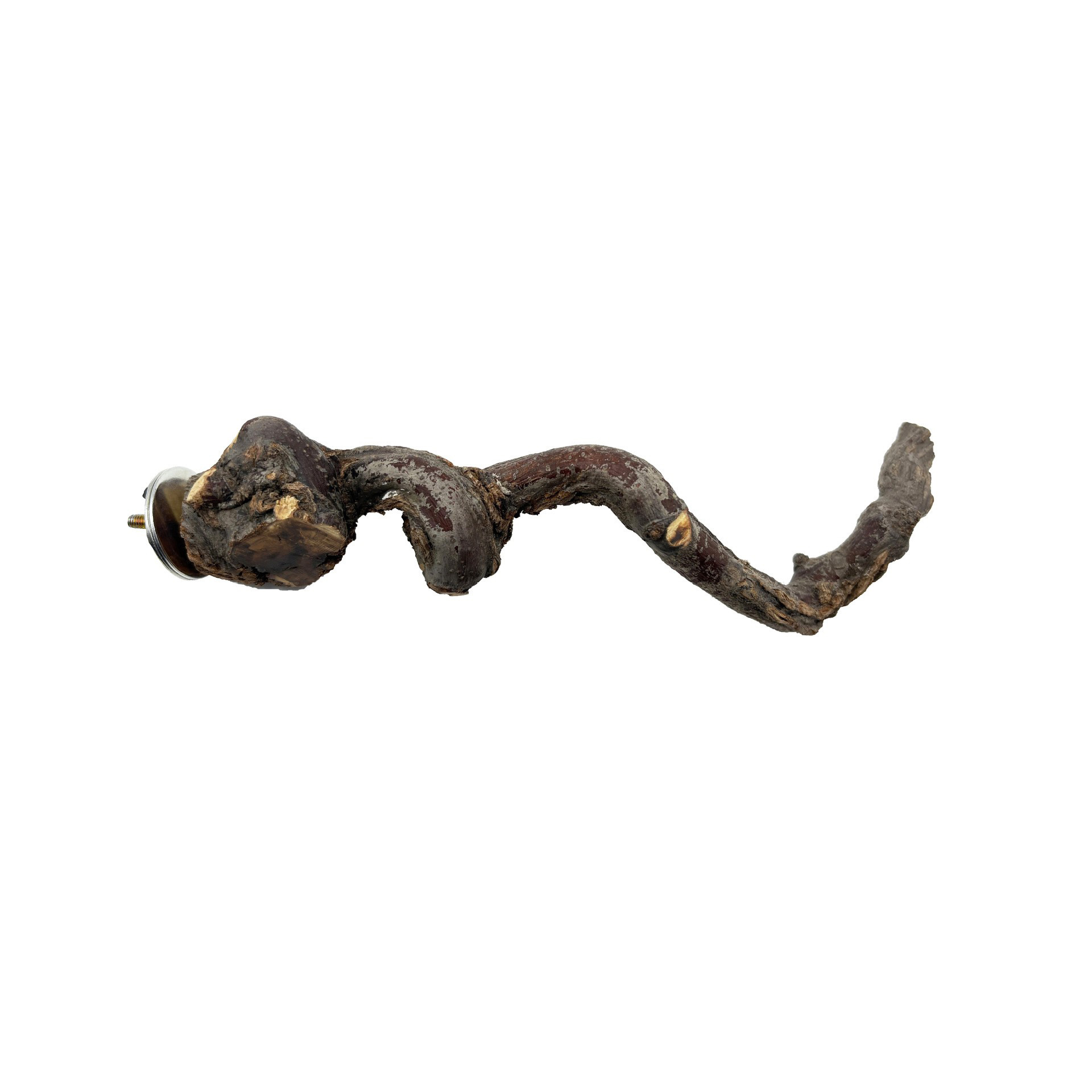 Percha de Madera Natural para Loros Para Molar Garras para Jaulas de Pájaros image 26