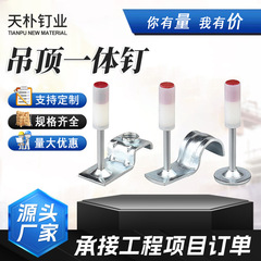 吊顶一体钉集成吊顶消音一体钉装修吊顶射钉消音打孔吊顶用炮钉